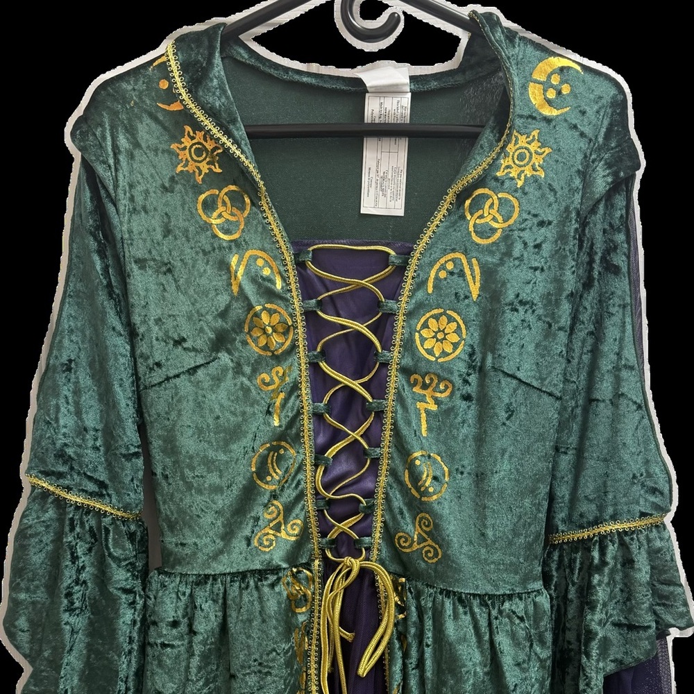 Hocus Pocus Winifred Emerald and Gold Embroidered Dress and Wig